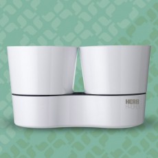Herb Hydro pot twin white
