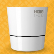 Herb Hydro pot White