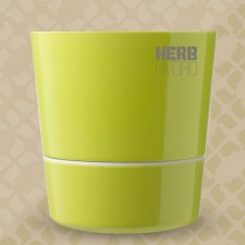 Herb Hydro pot Lime