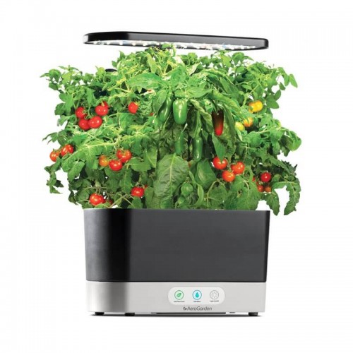 Making Salsa With Fresh Tomatoes From The Aerogarden Salsa Kit
